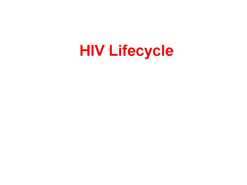 HIV Lifecycle